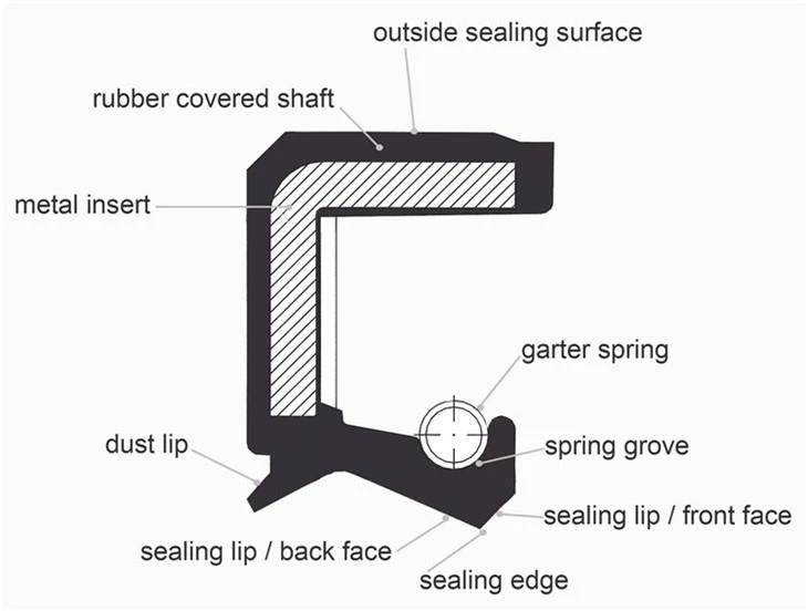 Metric TC Spring Oil Seal